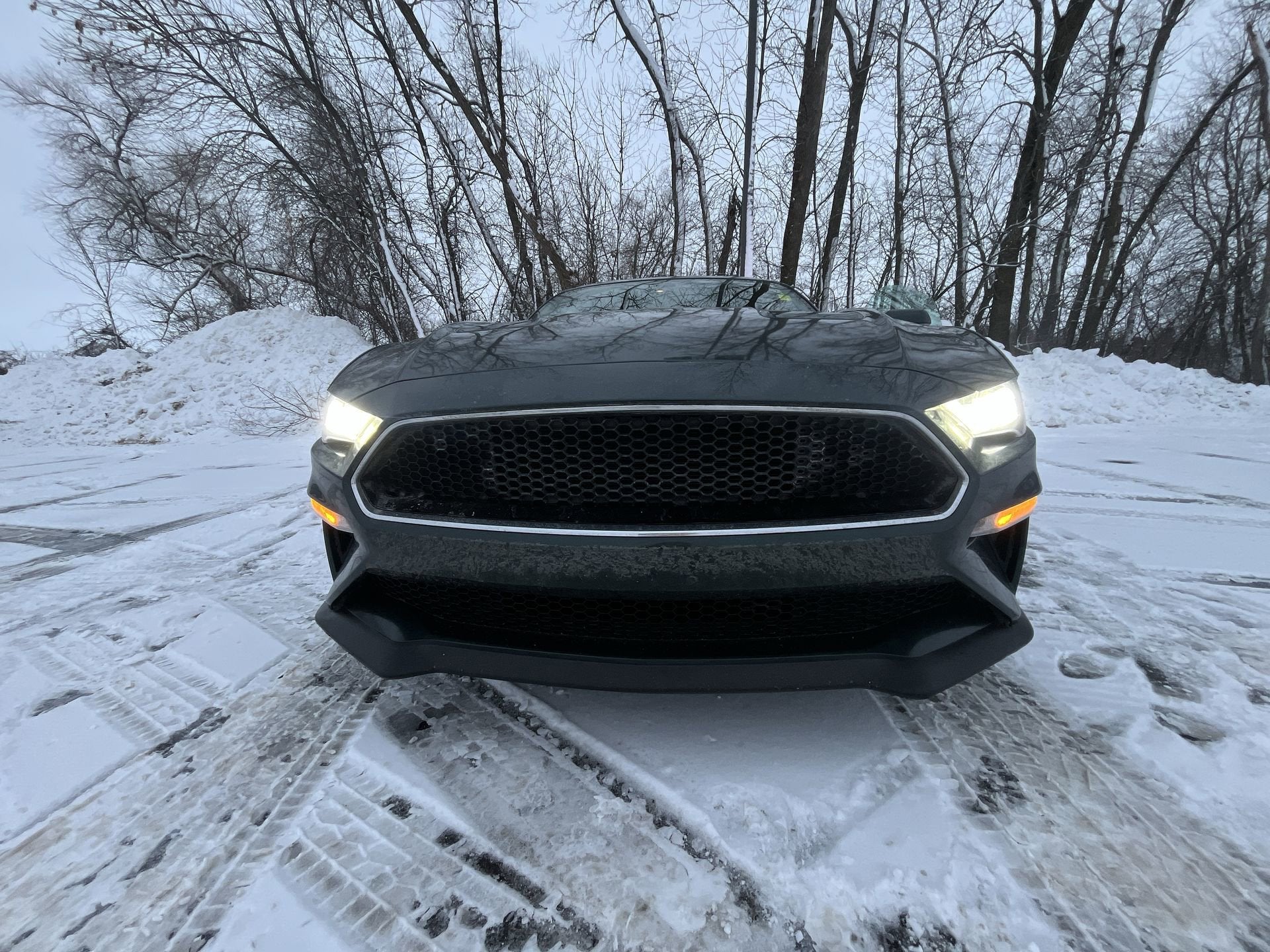 2019 Ford Mustang Bullitt